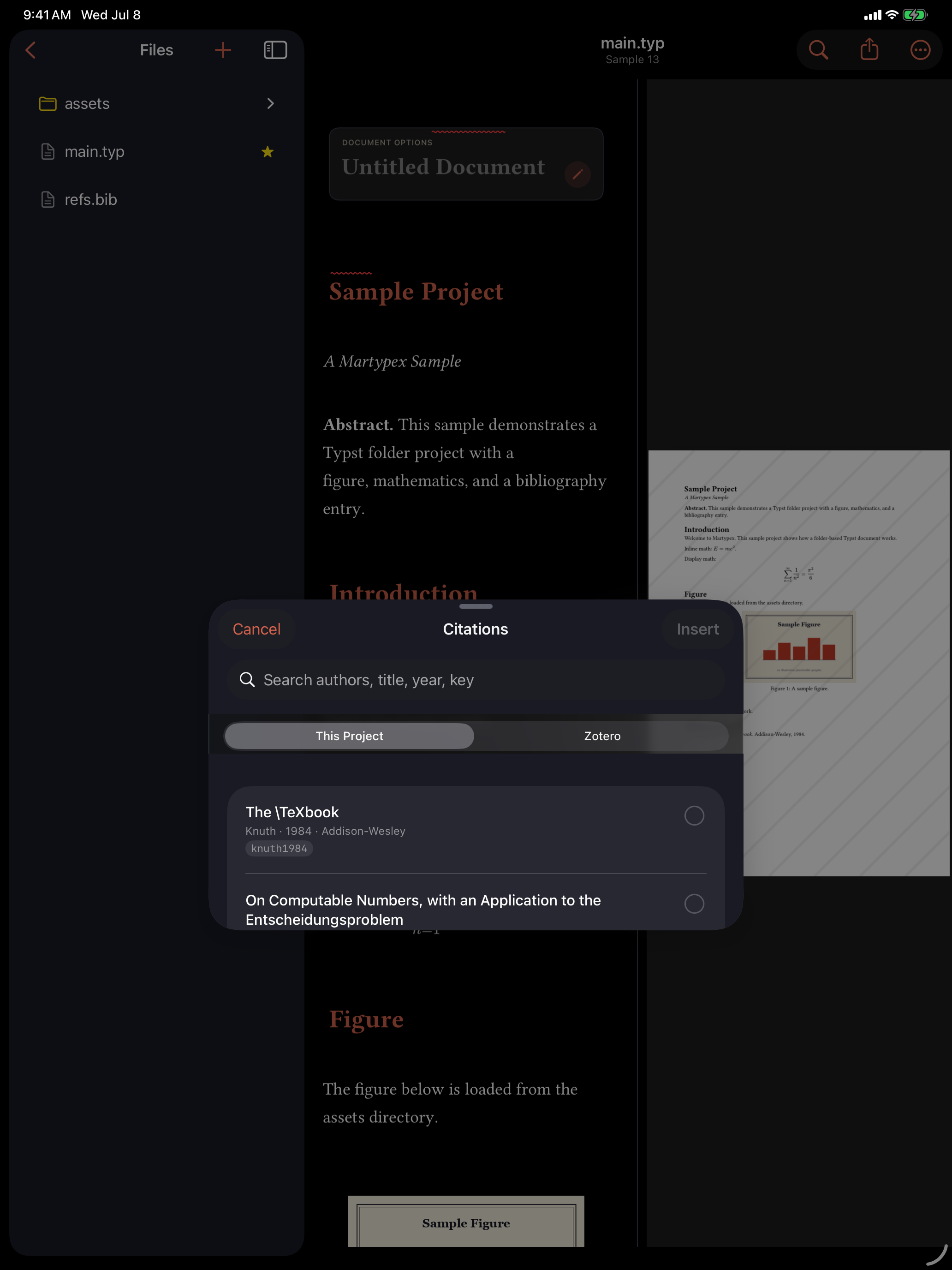 The Citation Browser, searching a project's bibliography, on iPad, dark mode