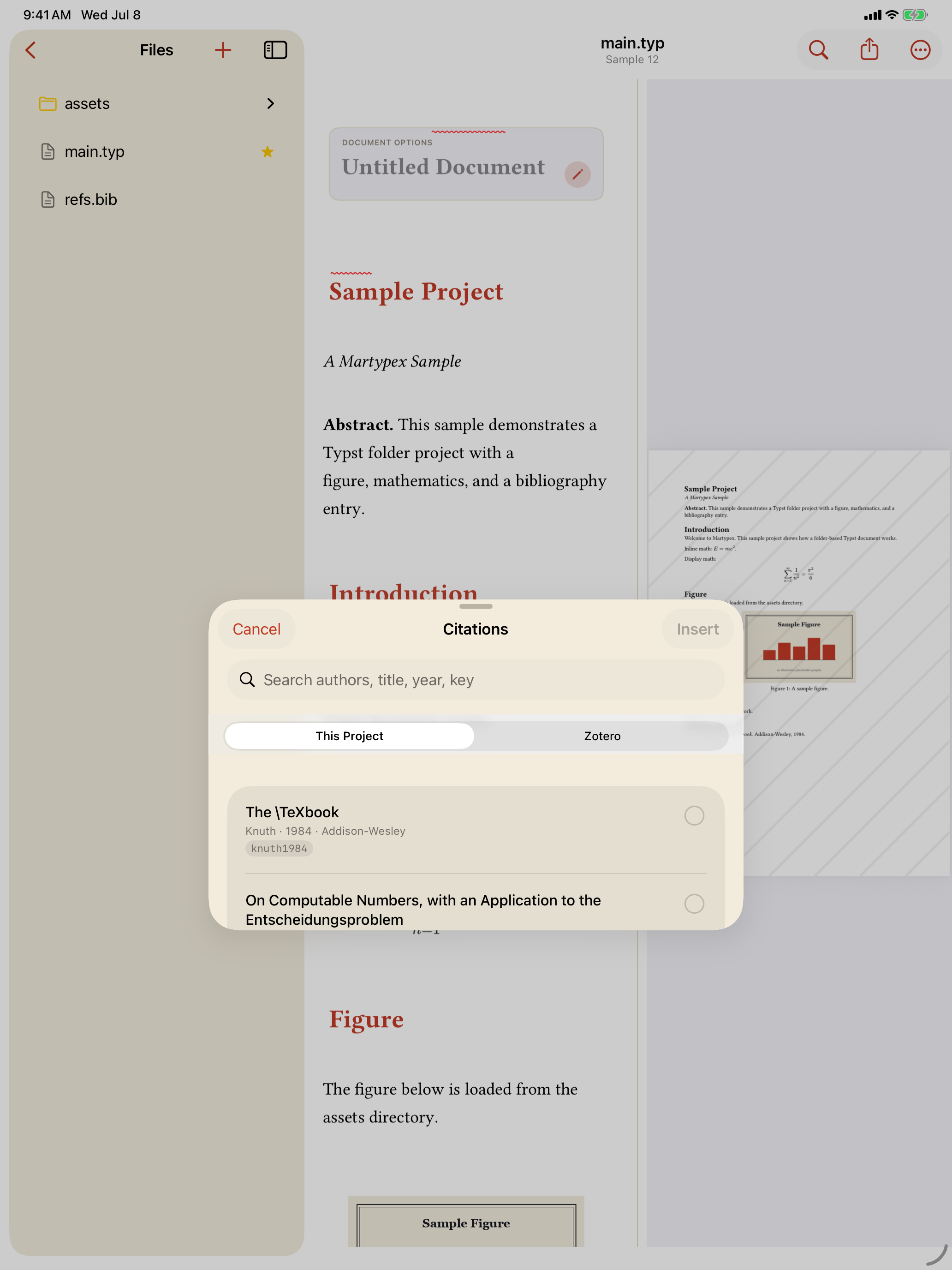 The Citation Browser, searching a project's bibliography, on iPad, light mode