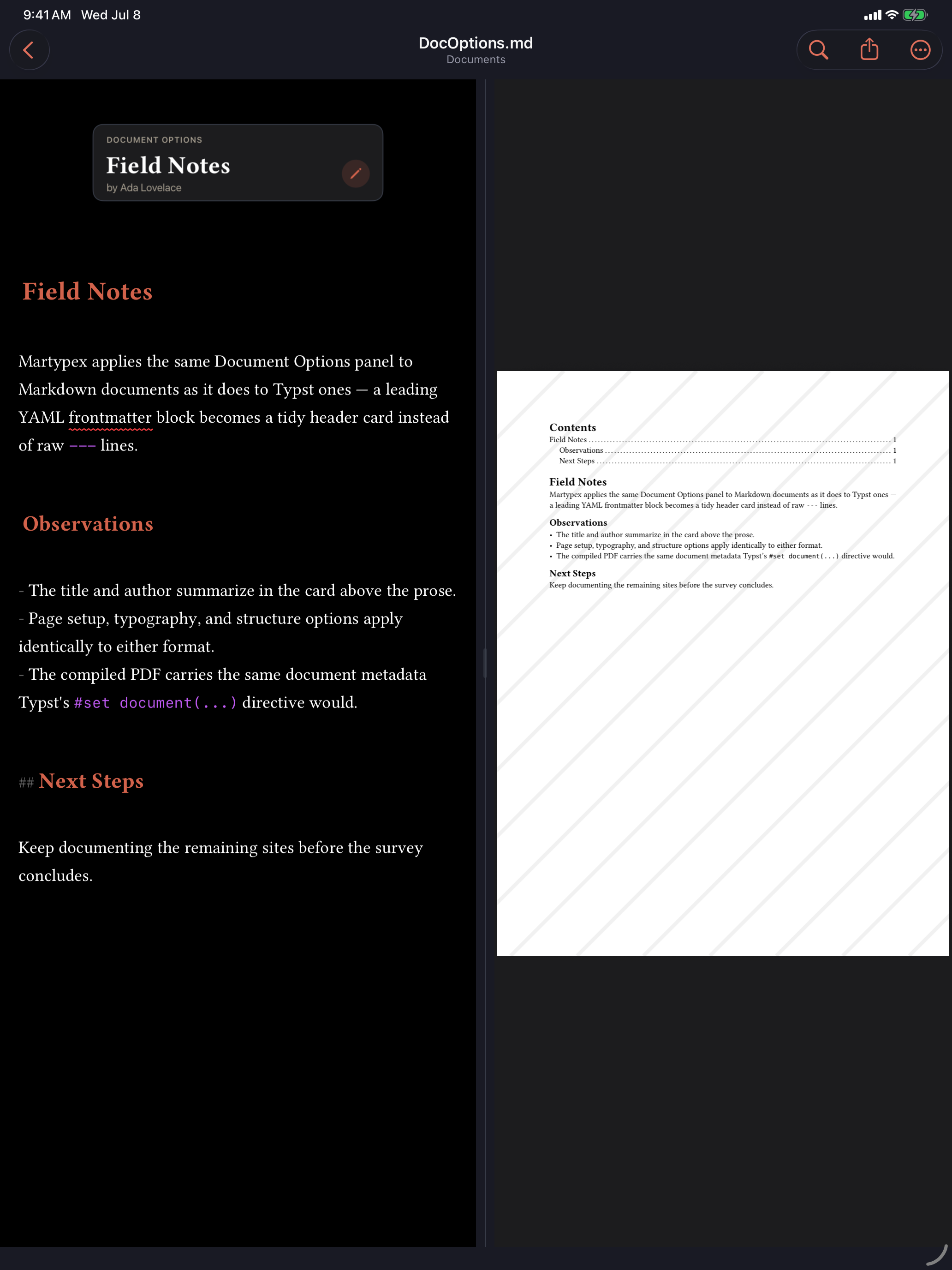 Document Options header card at the top of a document, on iPad, dark mode