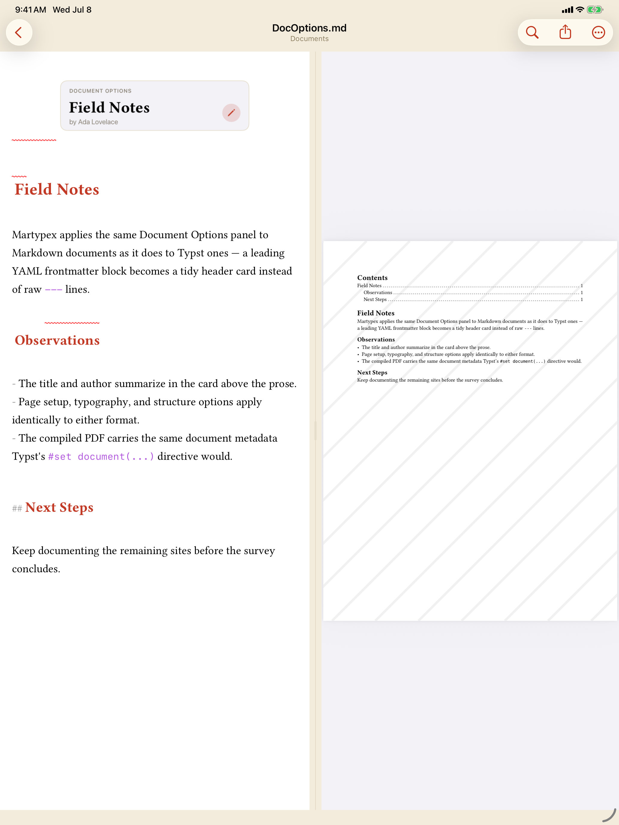 Document Options header card at the top of a document, on iPad, light mode