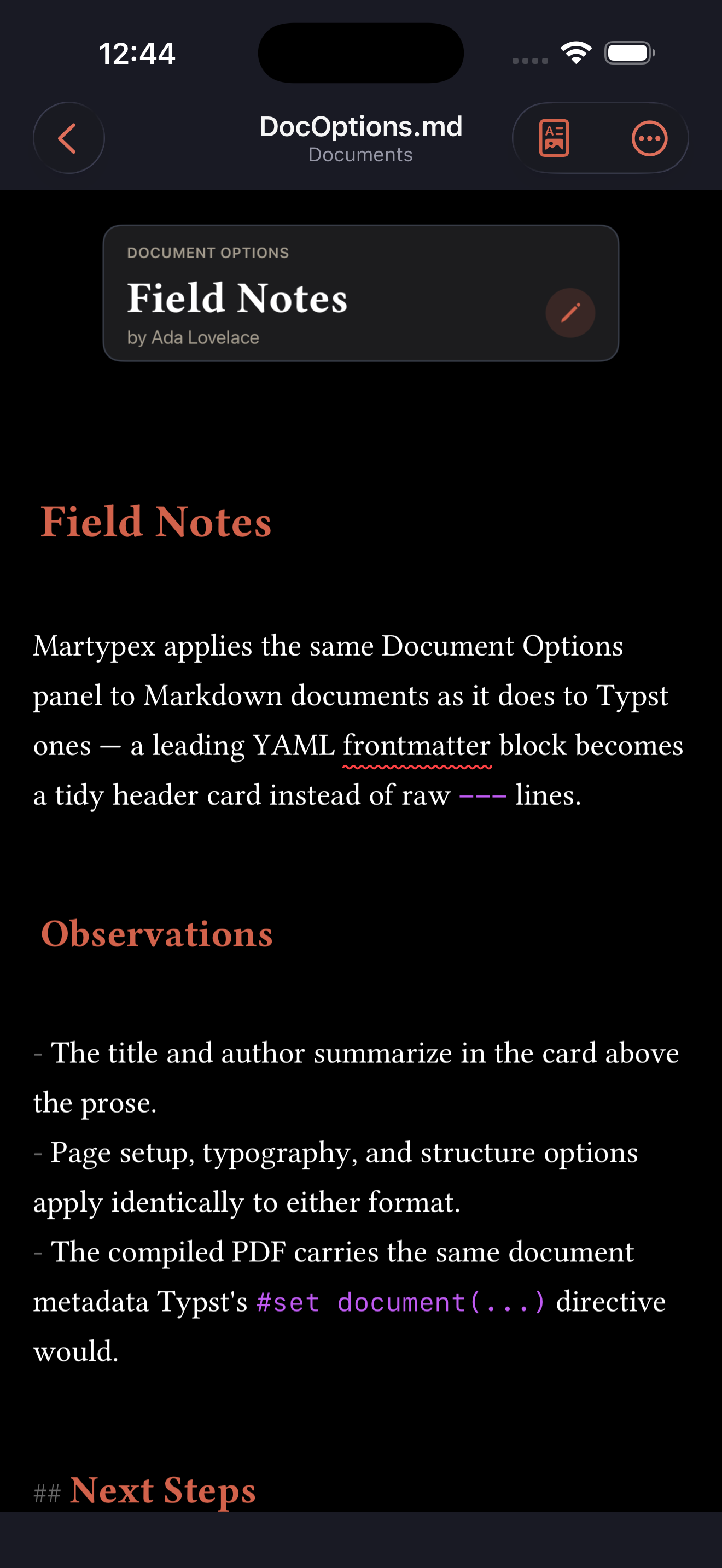 Document Options header card at the top of a document, on iPhone, dark mode