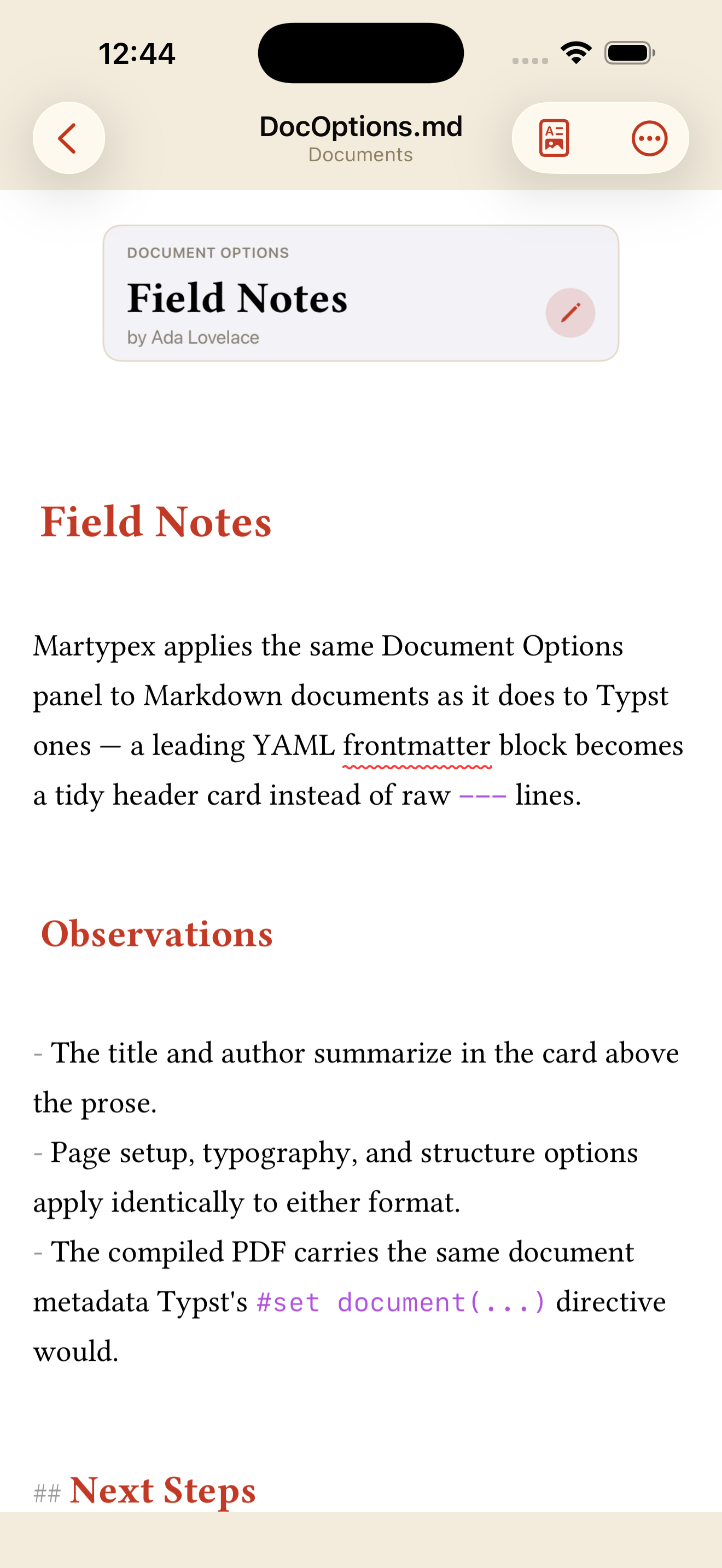 Document Options header card at the top of a document, on iPhone, light mode