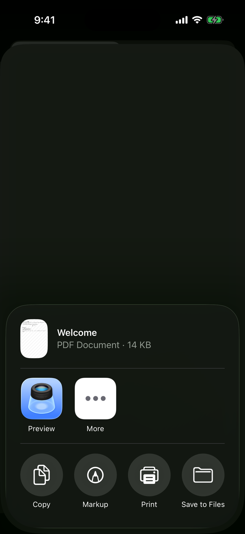 Share the exported file on iPhone, dark mode