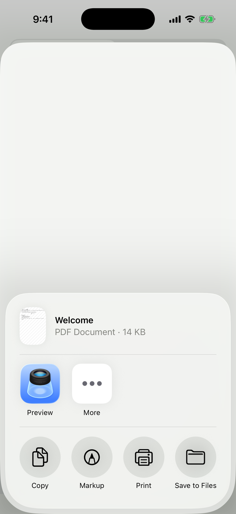 Share the exported file on iPhone, light mode